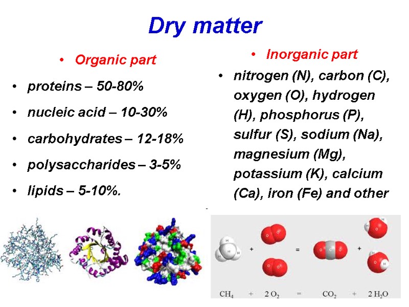 Dry matter  Organic part  proteins – 50-80%  nucleic acid – 10-30%